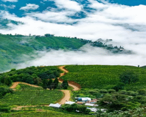 Darjeeling-Kalimpong