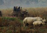kaziranga-meghalaya-tour-package1