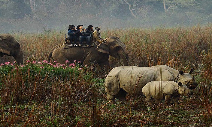 kaziranga-meghalaya-tour-package1
