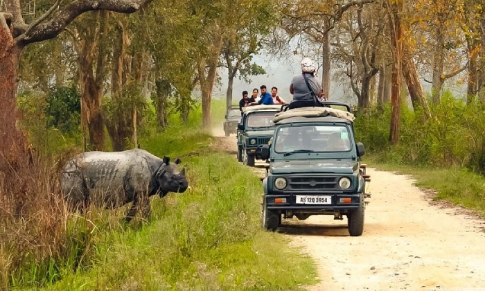 meghalaya