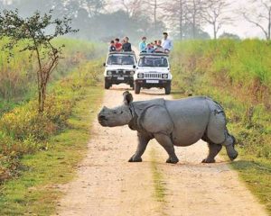 Kaziranga-Jeep-Safari
