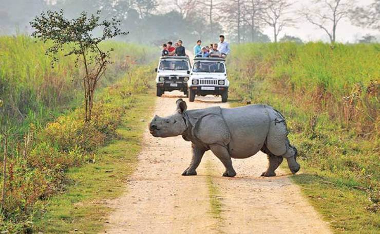 Kaziranga-Jeep-Safari
