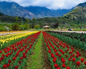 as-the-spring-has-set